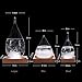 Storm Glass Weather Forecast Weather Station, GMISS Creative Fashion Weather Forecaster, Storm Glass Bottle Barometer on Wooden Base, Home and Office Decor & Gifts（large）