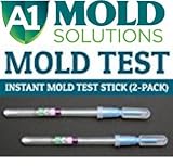 Instant Home Mold Test