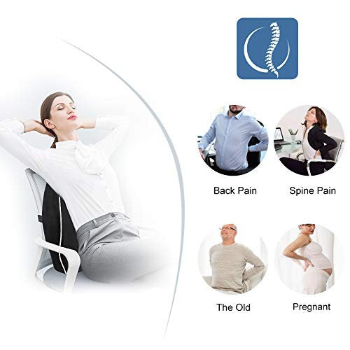 Lumbar Support Back Cushion,Back Pillow for Office Chair and Car Seat,Ergonomic Lumbar Support Pillow Memory Foam Orthopedic Backrest for Couch Sofa Reading Lower Sciatica with Adjustable Straps