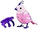 Digi Birds Single Pack Doll, Lacy