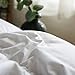 Globon Fusion White Goose Duvet Insert Queen Heavywarmth Winter, 50OZ, 650 Fill Power, 100% Cotton Shell, 300 Thread Count, Hypoallergenic with Corner Tabs, White