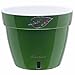 Santino ASTI 7.1 Inch Self Watering Planter Green-Gold/White for Indoor Plants - Premium Quality Modern Plastic Planter Pot w/ Water Level Indicator for All House Plants, African Violets and Dahlias