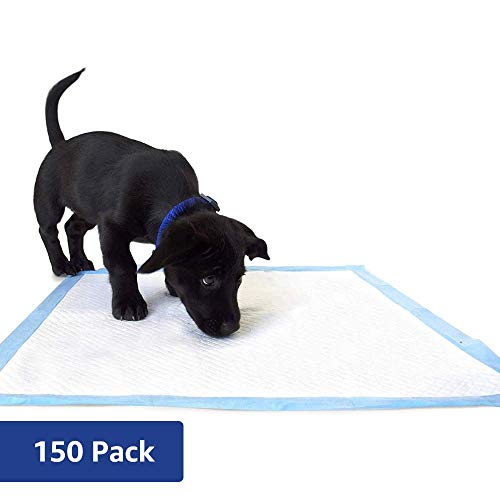 unscented puppy pads