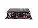 Kinter K2020A+ Limited Edition Original Tripath TA2020-020 Class-T Hi-Fi Audio Mini Amplifier with 12V 5A Power Supply Blackthumb 1