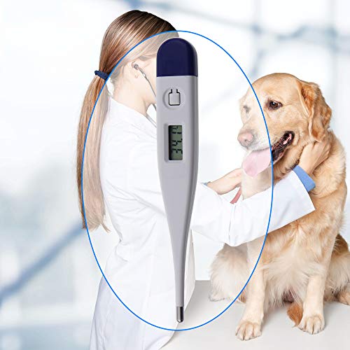 Veterinary Thermometer Vets Rapid Response Animals Dogs Horses Pets - Thumbnail 3