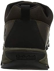 Timberland Men's Mt. Maddsen Waterproof Low Hiker