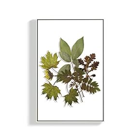 Canvas Wall Art for Living Room, Bedroom Leaves Framed Canvas Prints for Home Decoration Ready to Hang - 16x24 inches