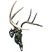Herron Outdoors Skull Mount - Fully Adjustable Skull Wall Mount - Secure Removable Stinger - Skull Hanger Hook Mount for Displaying Taxidermy, Deer and Euro Skulls (Portrait)