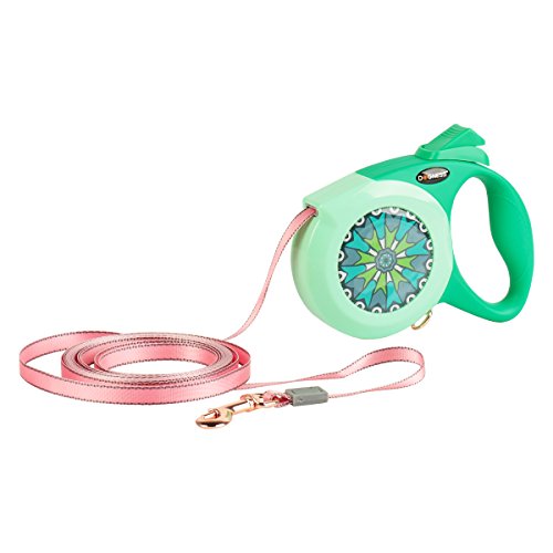 DOGNESS Retractable Dog Leash, The Elegance Series, One Button Brake & Lock with Anti-Slip Handle, Strong Nylon Ribbon Tape, 13 ft Long, for Small Medium Dogs, Green