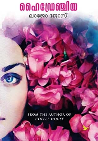 Hydrangea ഹൈഡ്രേഞ്ചിയ By LAJO JOSE