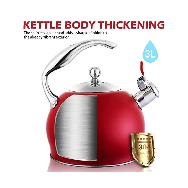 Tea Kettle Best 3 Liter induction Modern Stainless Steel Surgical