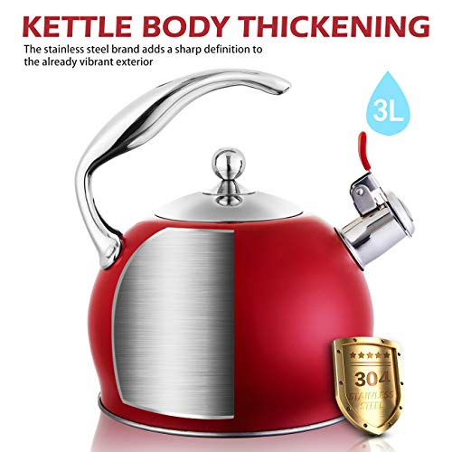Tea Kettle Best 3 Liter induction Modern Stainless Steel Surgical