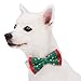 Blueberry Pet Box with Pack of 2 Handmade Dog Cat Bow Tie, Stay Festive Bowtie Set, 4