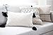 Cozi Abode Boho Geometric Decorative Throw Pillow Covers Set of 3 18 X 18” 12 X 20” for Bed/Sofa Tribal Tassels Tufted Modern Black and Ivory
