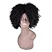 Miss Rola Synthetic Afro Curly Wig Soft Silk Kanekalon Fiber For Black Women Short Kinky Hair Natural Black Color 11