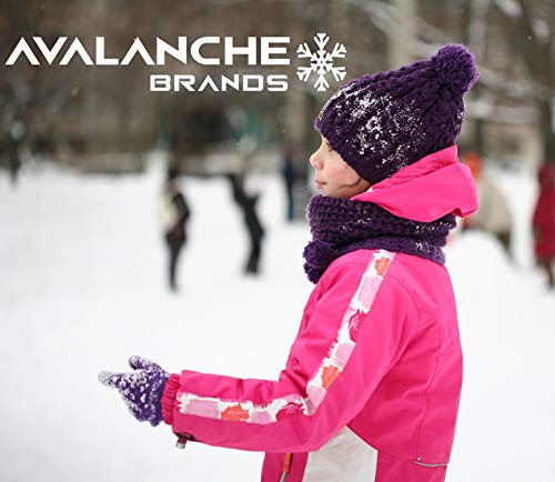 Avalanche Brands 2 Pack Saucer Sled