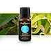 Ylang Ylang Essential Oil of 100% Proven Purity, Derived Wholly from the Flowers of the Ylang Ylang Tree. Half Ounce (15 ml)