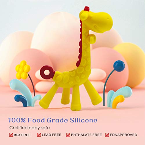 Baby Teething Toys BPA Free Soft Silicone Baby Fruit Teethers Toys with Pacifier Clip/Holder Non-Toxic, Soft, Durable and Freezer teether for Boys & Girls Infant and Toddler(JRBT-TDD)