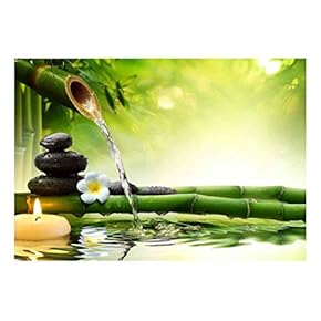 Rocks and Flowers Over Bamboo Branches on a...