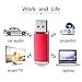 RAOYI 10PCS 2G USB Flash Drive USB 2.0 Memory Stick Thumb Drive Pen Drive Jump Drive-Red
