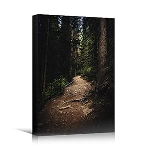 signwin Canvas Wall Art Green Forest Dramatic Forest...