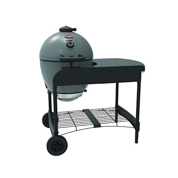 Char-Griller-E6520-AKORN-Kamado-Cart-Charcoal-Grill-22-Ash