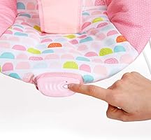 bright starts fanciful flowers vibrating bouncer