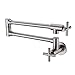 HANEBATH Brass Wall Mount Pot Filler Kitchen Sink Faucet, Brushed Nickel