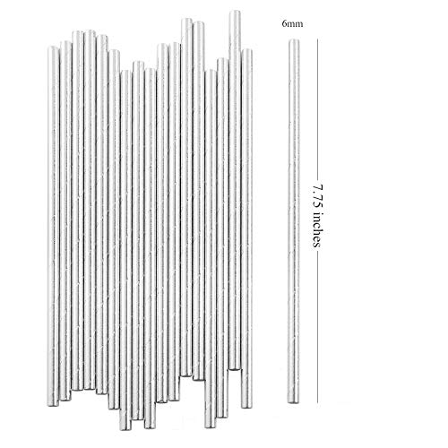 ALINK Metallic Silver Paper Straws, Biodegradable Disposable Party Drinking Straws, Pack of 100 - //coolthings.us