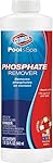 Clorox Pool&Spa Phosphate Remover, 1-Quart 55032CLX