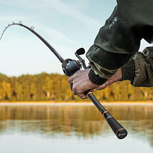 Tempo Resolute Baitcasting Rod,Toray 30 Ton Carbon Fiber Fishing Rods