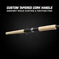 Lamiglas lx96hc Clearance