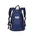 IFLYING Backpack Camping Extra Large 80L Backpack with 10l Small Backpack for Climbing Camping Hiking Travel and Mountaineering (Black)