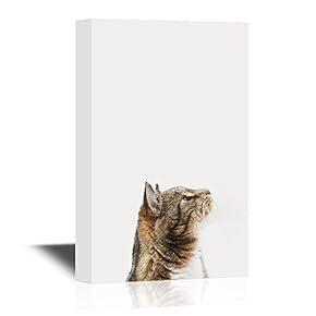 Peekaboo Animals Canvas Wall Art - A Cat - Gallery Wrap Modern Home Art | Ready to Hang - 12x18 inches