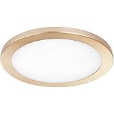 Quorum Lighting 8-827-80 Rova 18-Watt LED Light Kit, Aged Brass