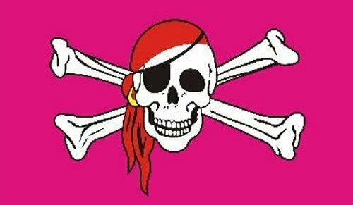 Pink Skull And Crossbones Small Flag - 3 x 2 FT - 100% Polyester With Eyelets Banner - FlagSuperstore