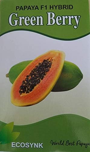 known you seed Greenberry Papaya Hybrid Seeds (1 g)