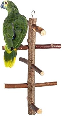 parrot stand wood