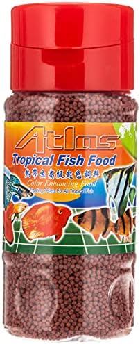 Atlas tropical fish food 100 g fish aquarium price in UAE