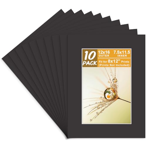 Golden State Art, 12x16 Mats Cut for 8x12 - Bevel Cut, Acid Free, 4-ply Thickness White Core - Great for Pictures, Photos, Frames, Artworks, Prints (Pack of 10, Black Color Mat)