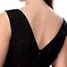 Noctflos Women's V-Neck Floral Lace Contrast Cocktail Party A line Black Dress