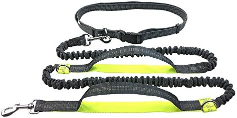 LinPin Retractable Hands Free Dog Leash prevent the swing with Dual Bungees for up to 150 lbs Large Dogs (Fluorescent Green)