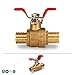 Midline Valve 837Q034-4 Full Port x PEX Barb Ball Valve Water Shut Off with Tee Handle, 1/2