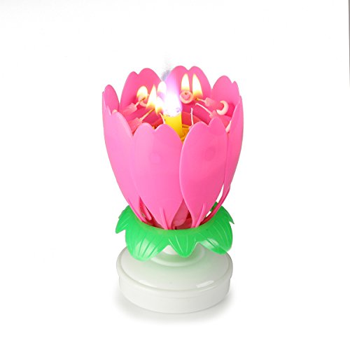Buy Amazing Birthday Candle Flower Cool Singing Musical Candles