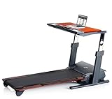 Nordictrack Treadmill Desk Review: Pros, Cons & More