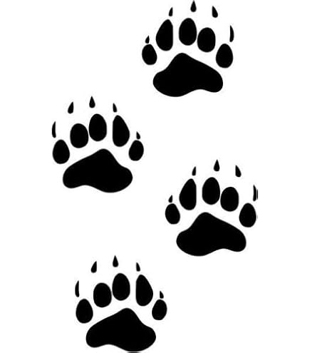 4-Piece Grizzly Bear Paw Decal Set | Green Camo Vinyl Stickers For Trucks, Cars, Windows