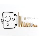 Wingsmoto Carburetor Repair Carb Rebuild Kit for 94-99 Suzuki DR350SE DR350 SE DR 350