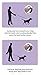 Retractable Dog Cat Pet Leash by Hertzko - 16 Foot Strong Nylon Ribbon - Extendable Lead for Small & Medium Dogs up to 44lbs - Comfortable Anti-Slip Handle