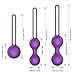 EROKAY Premium Ben Wa Balls Kegel Exercise Weight Kit for Women, Improved Bladder Control, 10.4 Ounce