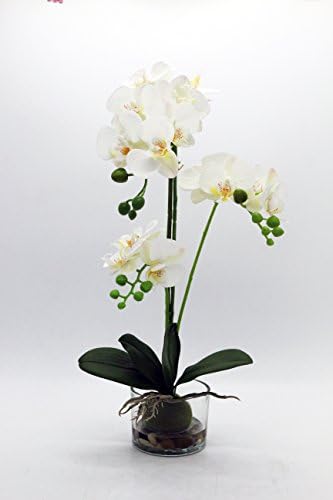 Leeman Artificial Lifelike Real Touch Flowers Arrangement Phalaenopsis Bonsai Orchid Miniascape Home Decoration Holiday Gift (White 536)